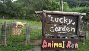 Lucky　Garden